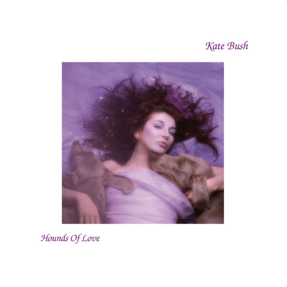 hounds of love - kate bush