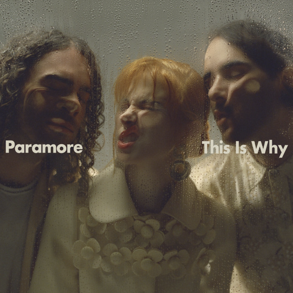 this is why - paramore